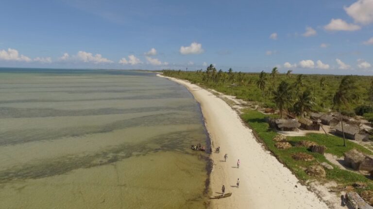 Mozambique’s Gas Curse: How Fossil Finance Deepens Poverty